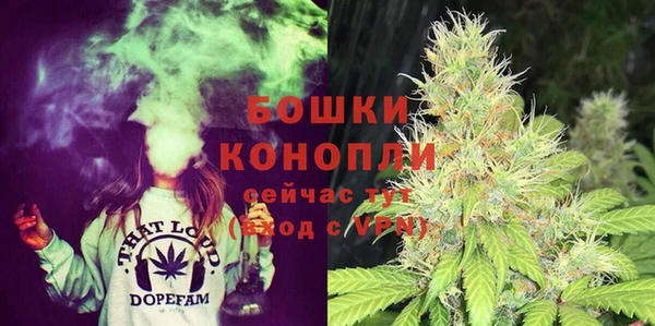 гашик Гусев