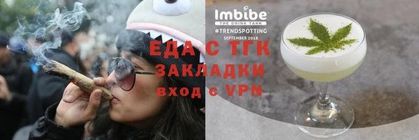 гашик Гусев