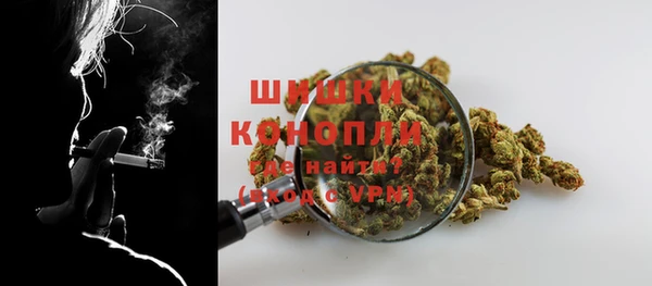 гашик Гусев