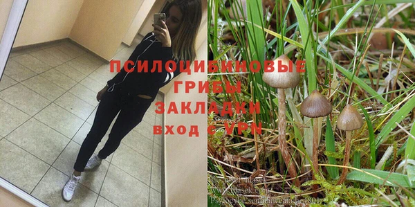 гашик Гусев