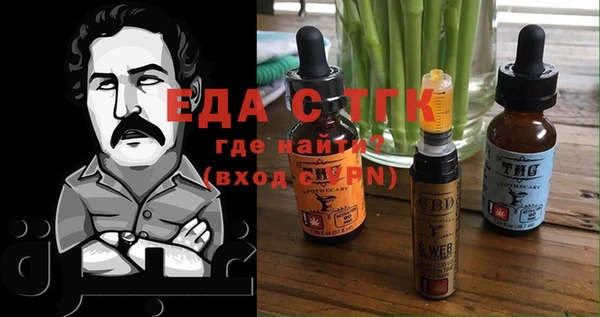 гашик Гусев