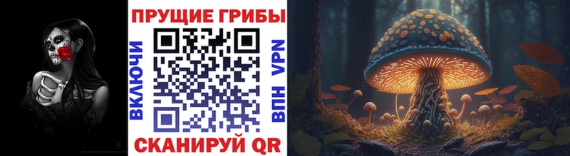 kraken зеркало  Касимов  Псилоцибиновые грибы мухоморы  закладки 